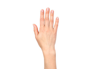 Female hand with neutral manicure isolated on white background.