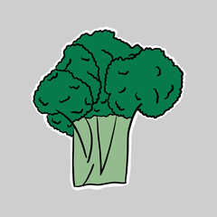 hand drawn doodle broccoli clipart illustration