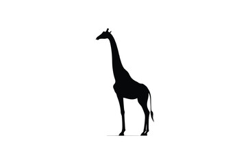 Animal silhouette illustration