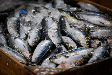 Fresh sardines at fish market in Spain