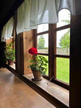 Flores na janela. Um vazo com flores vermelhas na janela de madeira em uma casa antiga.