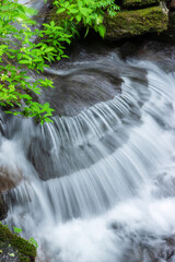 waterfall in the forest