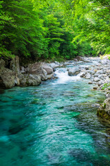 Fototapeta premium 新緑の阿寺渓谷 長野県