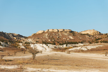 vibrant blue sky with sunlight streaming through, creating a serene and peaceful atmosphere