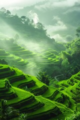 Lush, green rice terraces cascading down the sides of a valley. Mist rising in the early morning, with a backdrop of mountains. 