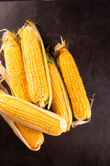 Fresh Corn Cobs on Dark Table - Summer Harvest