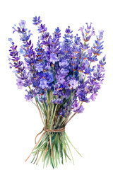 Naklejka premium Watercolor Bouquet of Lavender Flowers