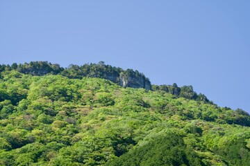 Scenery of fresh green mountains in Kochi in May