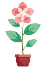Hellebores plant minimal design vector illustration