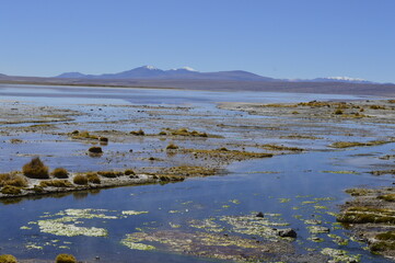 Lago secando