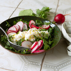 bowl of salad with stracciatella cheese and radish on light table