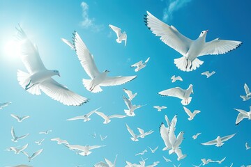 Obraz premium Flock of white birds flying in a clear blue sky