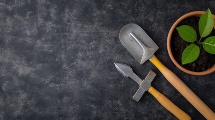 Top view of gardening tools and potted green plant on textured dark background, symbolizing growth, care, and springtime gardening activities.