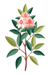 Fototapeta premium Rhododendron plant minimal design vector illustration