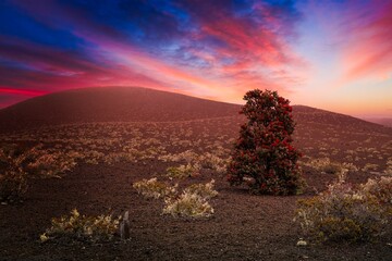 Hawaii Volcanoes National Park, on Hawaii Island (the Big Island). At its heart are the Kilauea and...