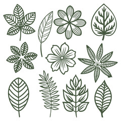 vector set of botanical leaf doodle wildflower line art, illustration