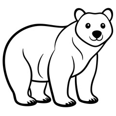 illustration of bear