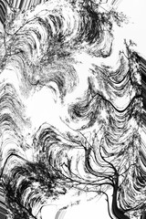 a abstract colorful background with curve and waves