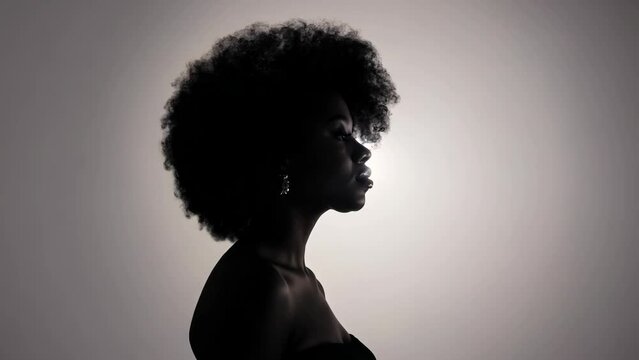 Fashion silhouette portrait of a woman with afro hairstyle