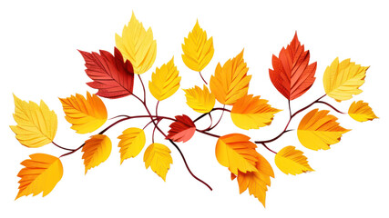 Fototapeta premium PNG Plant leaf tree freshness.