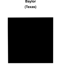 Baylor County (Texas) blank outline map