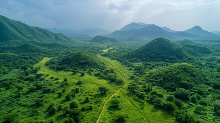 Fototapeta premium A lush, green landscape emerging from a previously barren land, thanks to dedicated reforestation and regreening initiatives by local communities.
