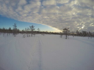 Snowy background with naked trees and big clouds