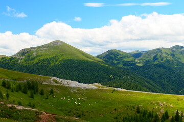 entlang der Nockalmstraße