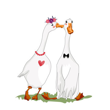recommend clip art: Goose couple lovers vector design