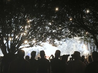 Fototapeta premium Fireworks at night through trees