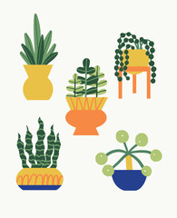 Modern House Plant Illustrations in Flat Vector Style. Succulent, palm, monstera.