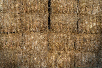 hay bales in a stack on a farm in australia in drought ready to feed to cows and sheep summer in australia