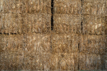 Managing Big Square Bales on Australian Farms for Sustainable Agriculture and Livestock Feed in Arid Conditions