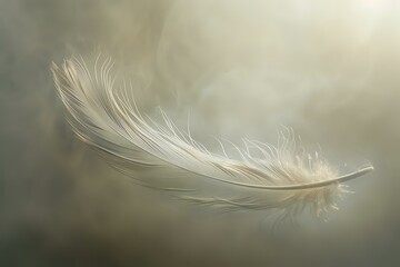 Delicate white feather floating in a soft, ethereal light, symbolizing lightness and tranquility. Ideal for nature blogs, inspirational content, and artistic projects.