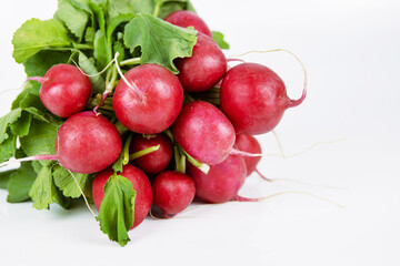Bunch of ripe fresh gathered radish with green leaves isolated on white background. A bundle of raw radishes to sell. Delicious veggie snack. Farm harvest vegetables. Empty copy space. Selective focus