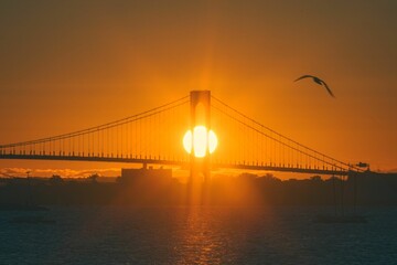 Fototapeta premium Sunset view of the Verrazzano-Narrows Bridge with a bird flying over the water in New York City