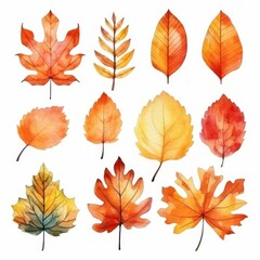 Obraz premium Watercolor Autumn Leaves Sublimation Clipart