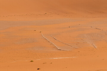 Impression of the massive sanddunes that comprise the Sossusvlei of western Namibia