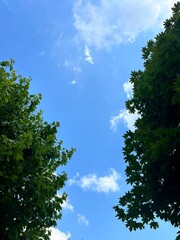 photo of the sky in a city park