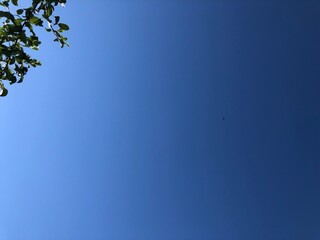 beautiful blue sky with gradient