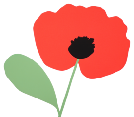 PNG Flower poppy petal plant.