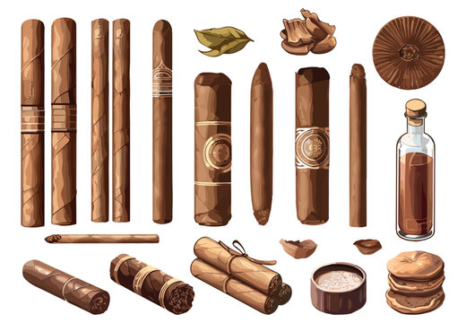 Cigar set. Tobacco collection. Rolled cigars tobacco leaves snuff in a glass flask. Smoking industry development. Isolated vector clipart