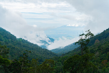 High-altitude landscape.
Highlands, the road to Dalat in Vietnam. 