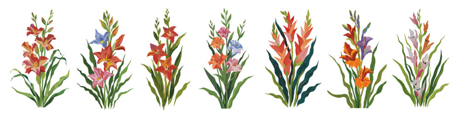 Set of decorative fresh blossoming gladiolus flower bouquets in naive gouache painting style . Hand drawn colorful flower icon. Vector cut out illustration clipart isolated on transparent background.