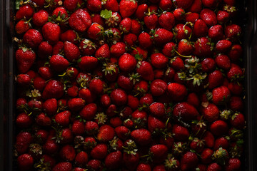 Strawberries (Cilekler) Photo, Uskudar Istanbul, Turkiye (Turkey)
