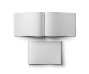 3D Illustration. Book and magazine mockup isolated on background.