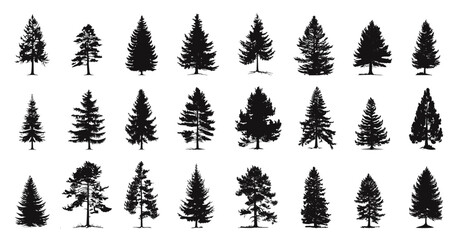 Pine and fir silhouettes collection. Forest and park trees. Side view. Monochrome vintage style. Nature vector clipart set. Isolated on white background