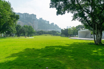 A cute little girl doing yoga on the park grass