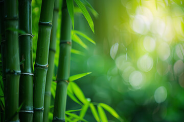 Green bamboo stems stand tall and vibrant, their lush hues contrasting beautifully against a blurred background of greenery