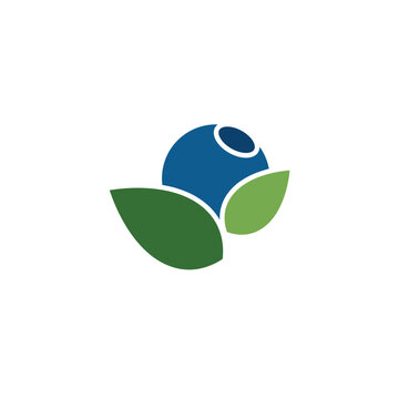 recommend clip art: Blueberry Fruit logo designs vector, Illustration of Blueberry template
